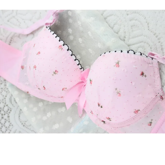 2017 Cute Girls Bra Set Hot In Sale Pure Cotton Appliques Underwire