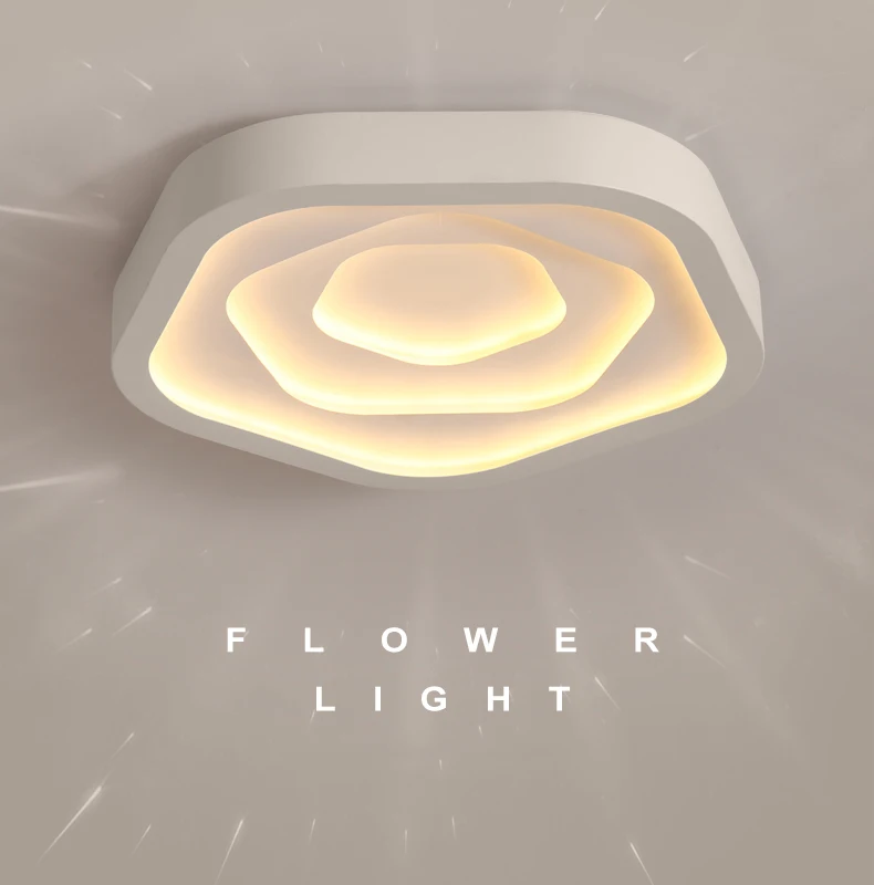 Ceiling lamp (1)