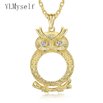 

Reading glasses Long chain Magnifying glass pingentes Owl pendant crystal Magnifier necklace A gift to grandpa and grandma