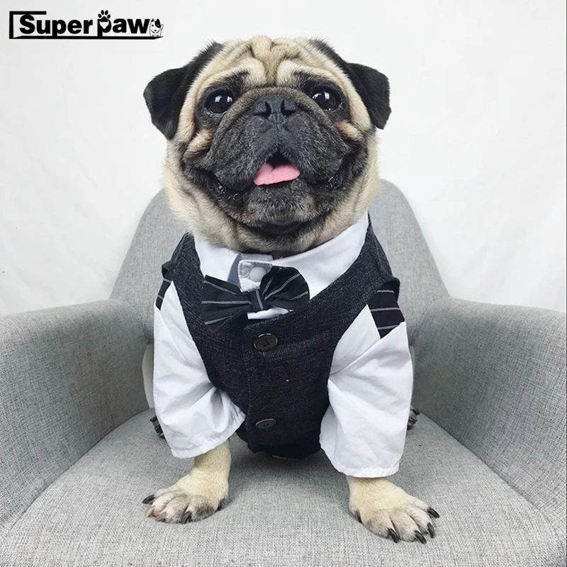 Ropa para mascotas, chaleco para fiesta de trajes para perros pequeños y medianos, chaqueta para Bulldog Francés, Chihuahua, Abrigo con capucha, disfraz BNC01 - AliExpress Hogar y jardín