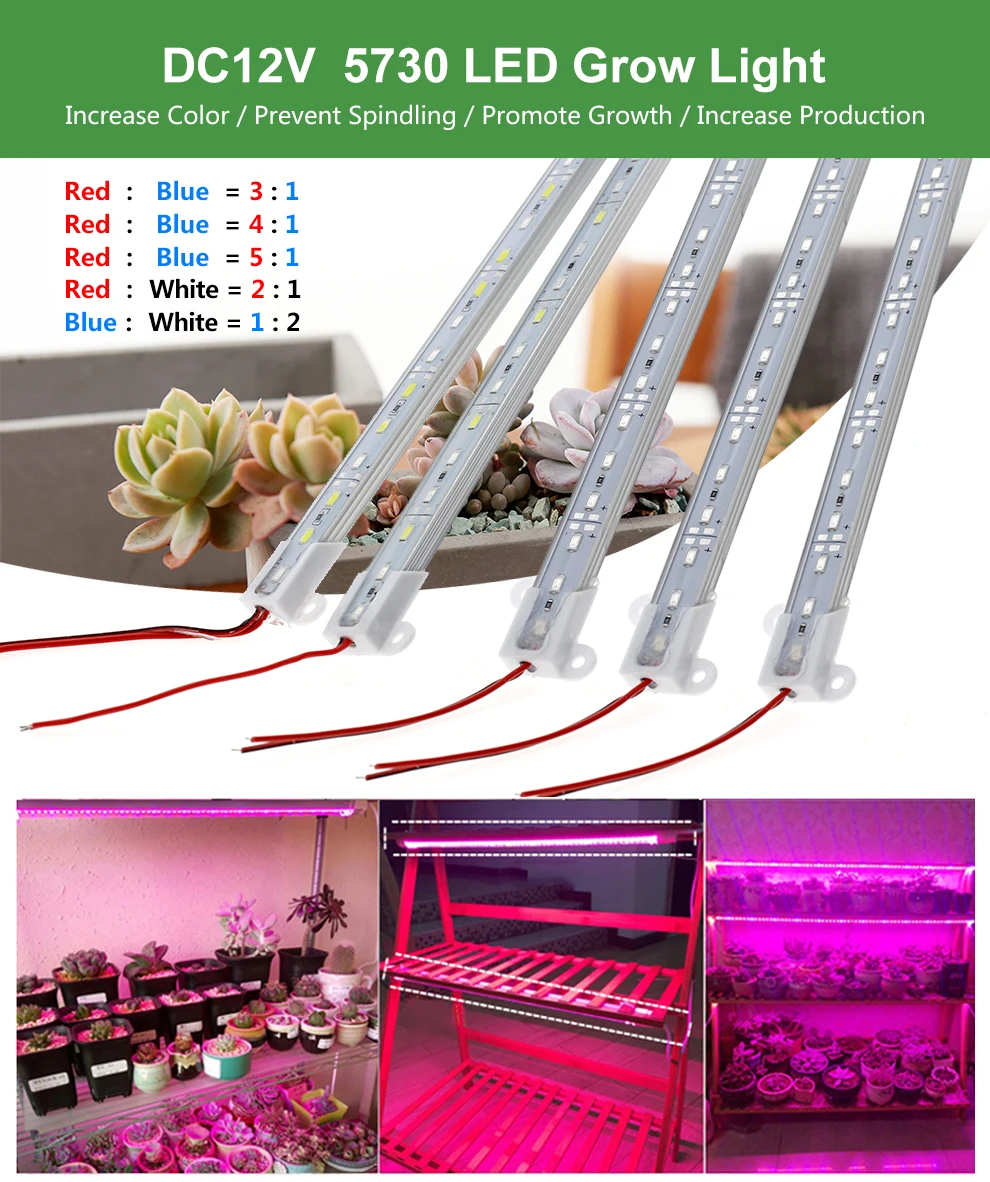 LED Grow Light DC12V (10)