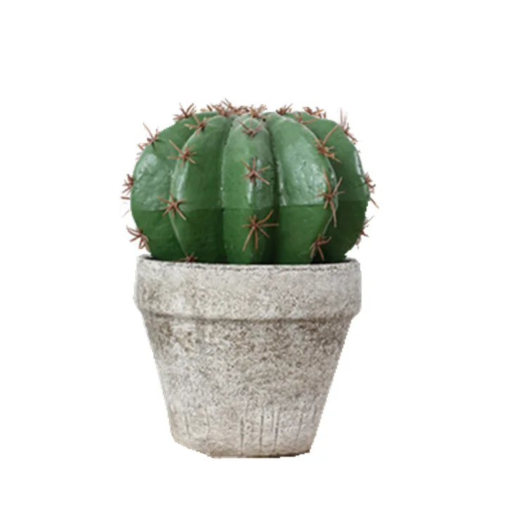 Scandinavian ins photographic props multi-fleshed cactus bonsai artificial plant potted home hotel decoration