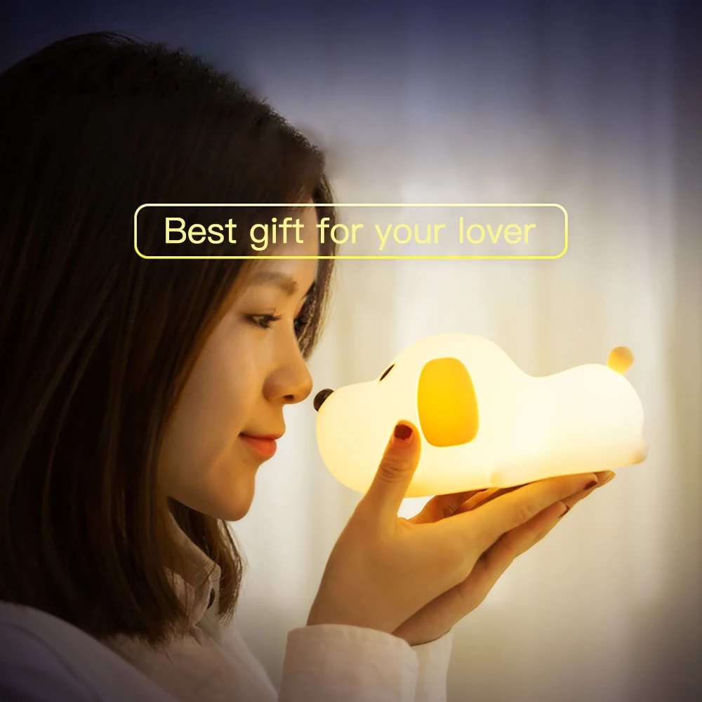 night light  (3)