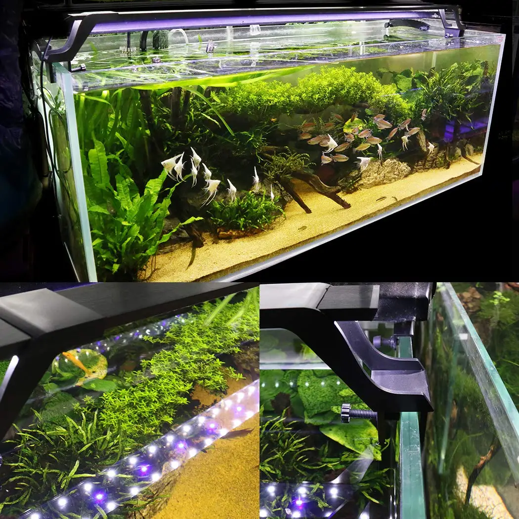 Аквариумные растения освещение Светодиодная лампа для аквариума кронштейн регулируемая длина фонарик для рыбалки белый+ синий для зелень для аквариума Ландшафтный