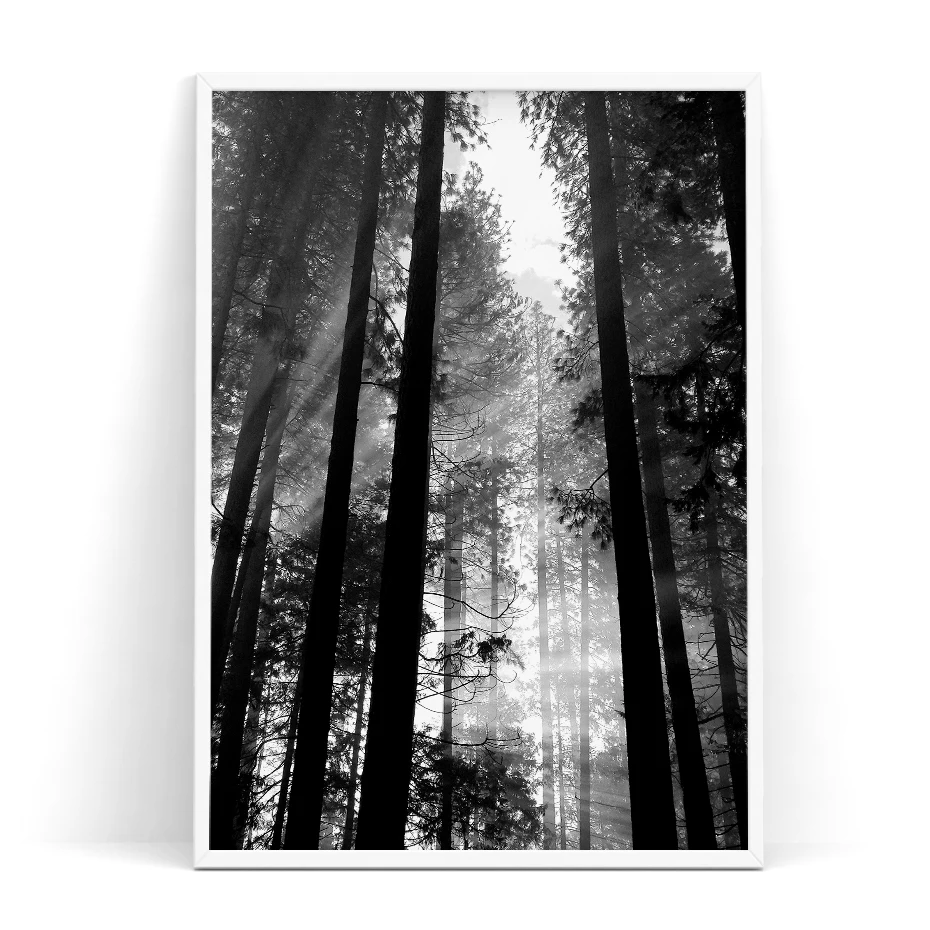 color_opt_2