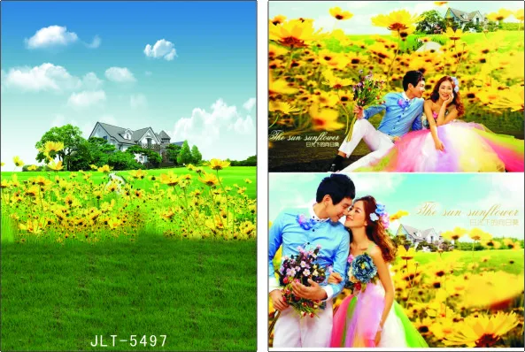 

300cm*300cm Vinyl Custom Photography Backdrops Prop Digital Photo Studio Background  S-5497