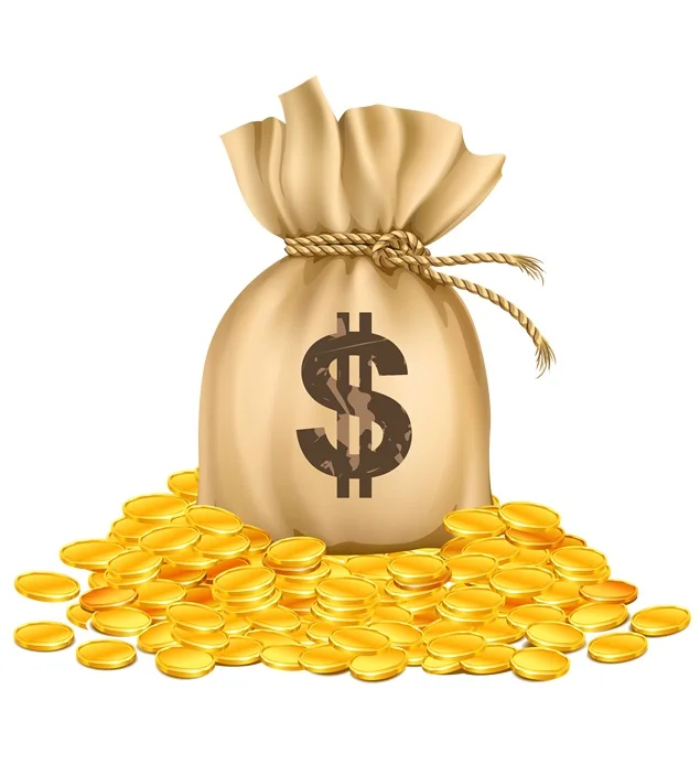 

Extra Fee/cost just for the balance of your order/shipping cost