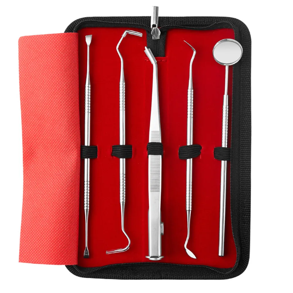 

5pcs Stainless Steel Dental Tools Kit Teeth Tartar Scraper Mouth Mirror Dentists Pick Tool Teeth Scaler for Dental Care