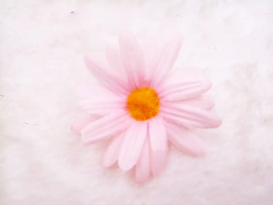 DSCN0453_