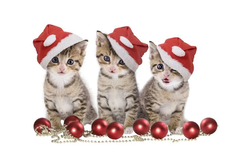 

Diamond Embroidery Christmas Cat Diy Diamond Paintings Full Mosaic Picture Pattern Cross Stitch Rhinestone New Arrival