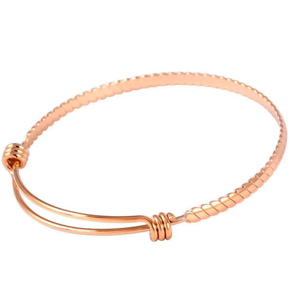 

AP-1 Exquisite women bracelets with silver & rose button shape charm Luxury bright 316L stainless steel jewelry for woman