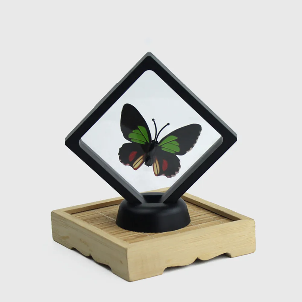 

2018 NEW Clear Jewelry Suspended Coins Floating Display Case Stand Holder Easy Use Home Decor Dropshipping D23 July3