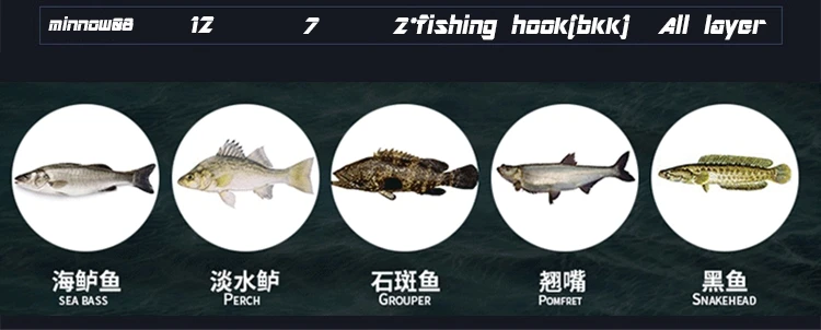 fishing lure minnow 12g07