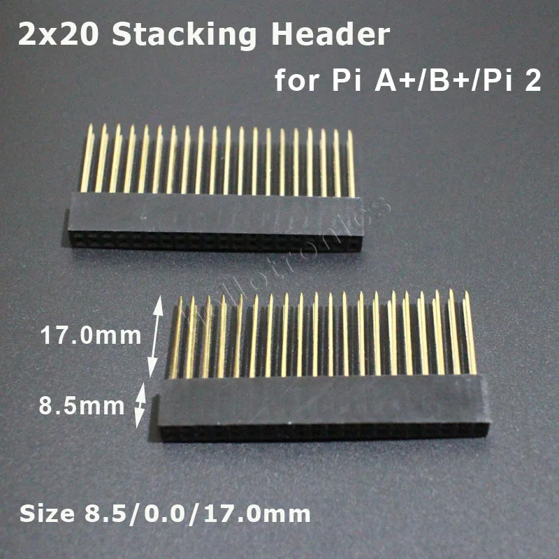 2x20 size.jpg