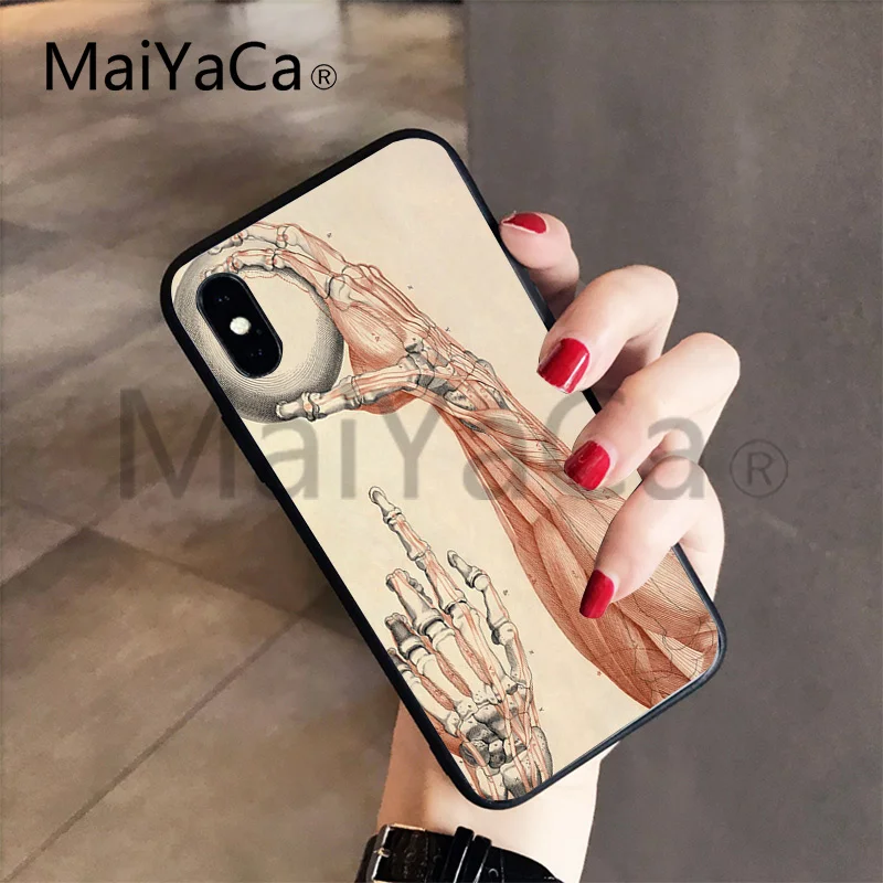 MaiYaCa для iphone 7 6 X Чехол Анатомия человека популярный чехол для телефона для iphone 8 8plus 7 7plus 6 6plus 5 5S 5c SE XS XR XSMAX чехол