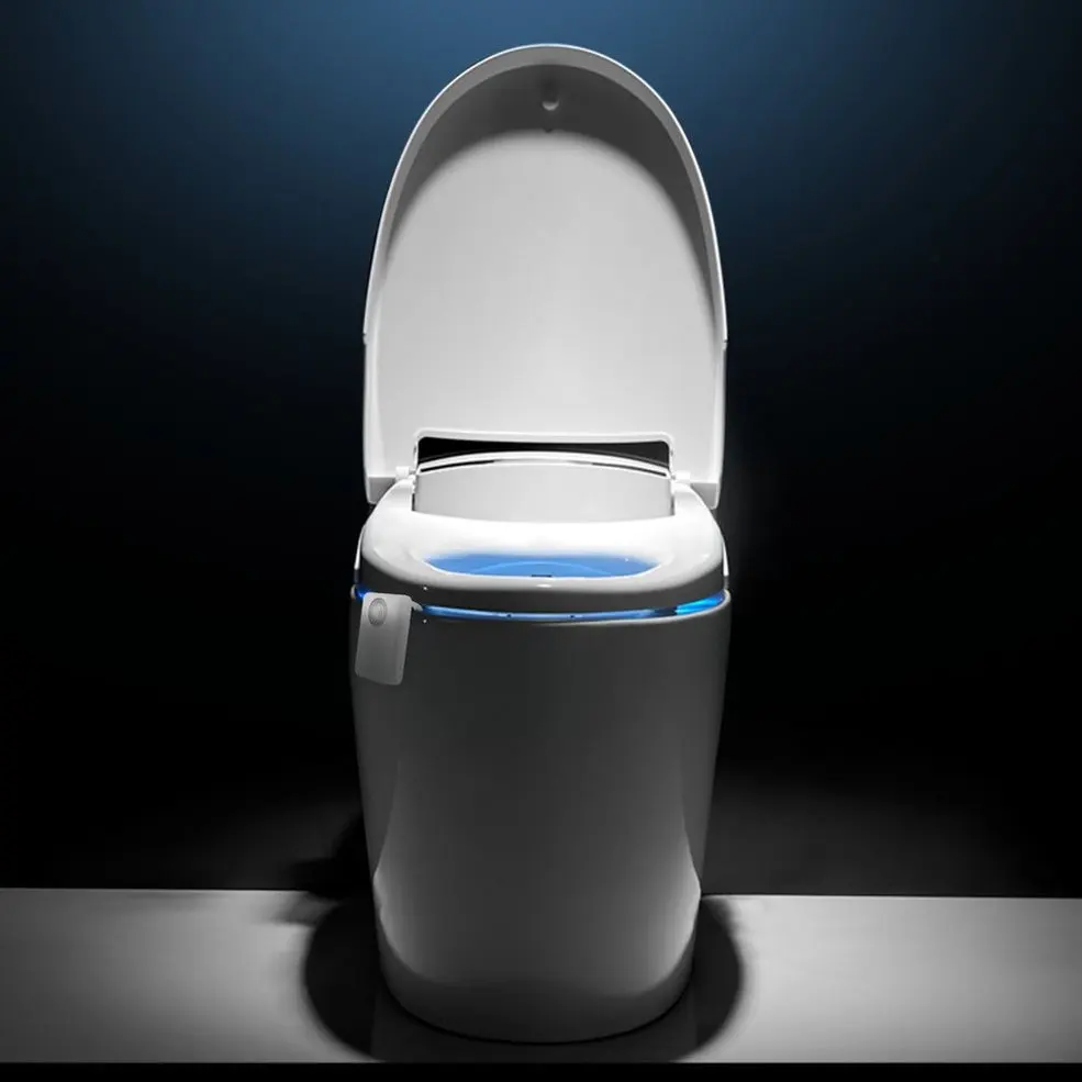

10 pcs Human Induction Toilet Lamp Motion Activated Sensor Emergency Night Light