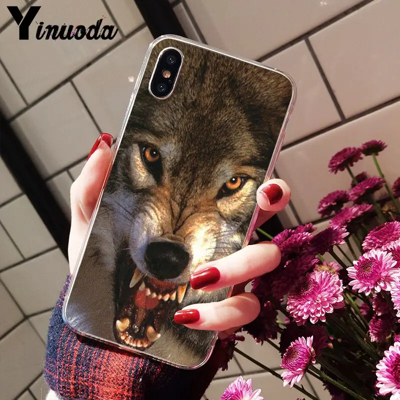 Abstract animal avatar lion wolf  black bear  deer 