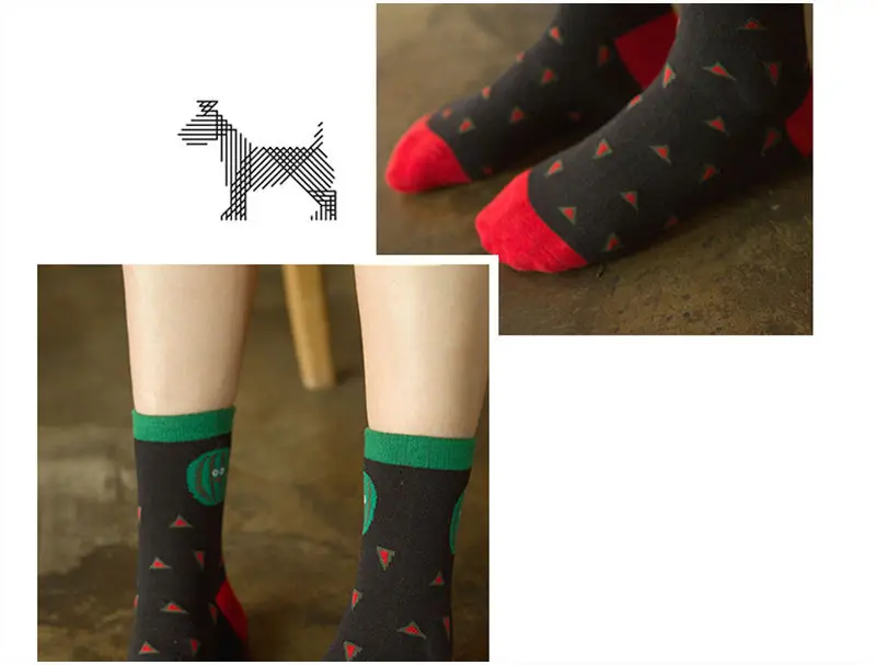 Socks XX6