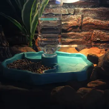 

Reptile Feeder 2 in 1 Automatic Water Food Feeding Plate Lizard Turtle Dispenser