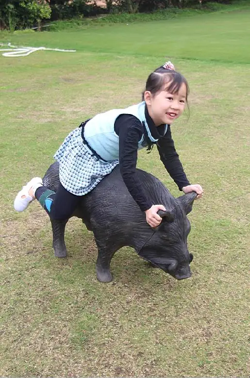 Clearance New 3D 86*54*33cm archery ferocious wild pig boar shooting archery target arrow for Garden Decoration,made of XPE+PU mateial 3 Clearance New 3D 86*54*33cm archery ferocious wild pig boar shooting archery target arrow for Garden Decoration,made of XPE+PU mateial 3