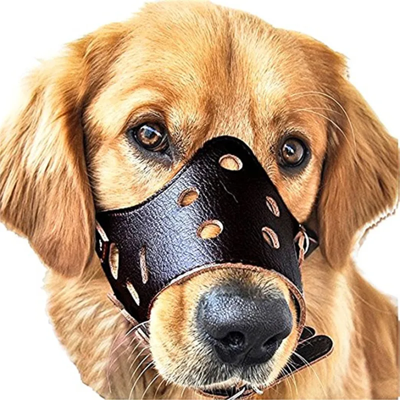 Buy Pet Dog Leather Muzzle Adjustable Mask Bark Bite