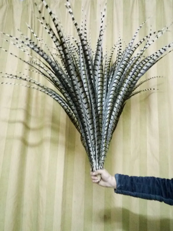 EMS free shipping 200 pieces of high quality natural feather pheasant 32-36 &quot80-90 cm headdress DIY | Дом и сад
