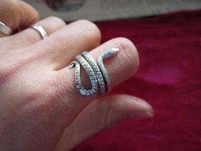 

Guizhou Miao jewelry national wind ring ring handmade Miao silver ring men and women of the individual snake ring