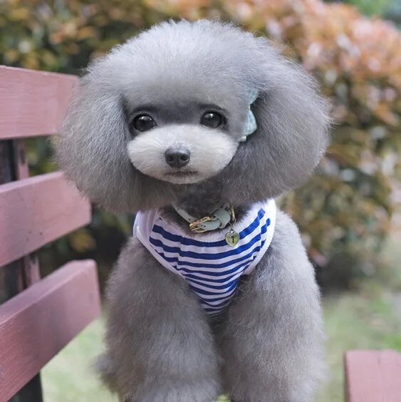 D37_Cute_Pet_Dog_Vest_Great_advanture_Navy_stripe_pattern_small_dog_vest_Puppy_dog_clothes_Sleeveless_T-shirt_costume_Apparel_ (9)