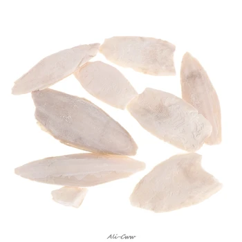 

1 Bag Cuttlebone Cuttlefish Sepia Bone Cuttle Fish Bird Food Calcium Pickstone Pet
