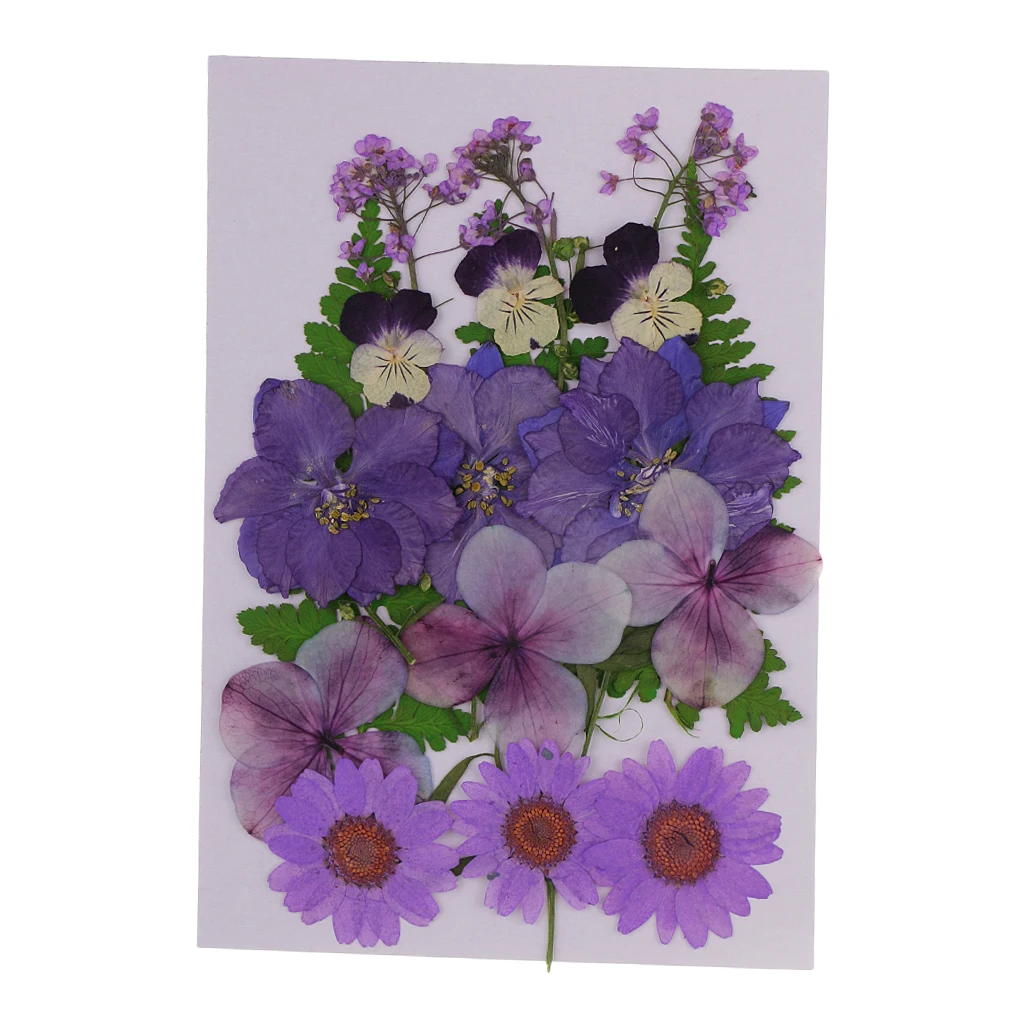 Multiple Mix Natural Pressed Dried Flowers Leaves Artificial Decorations for Greeting Card Making DIY Art Craft  2.5-3.5cm