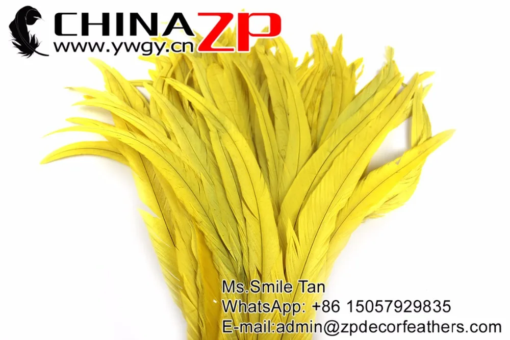 23 Rooster Tail Feather wholesale (3)