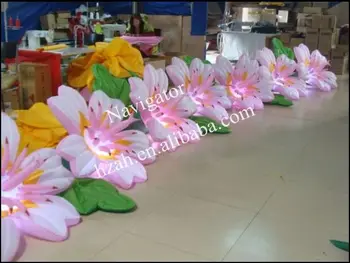 

Home Decoration Inflatable Pink Flowers