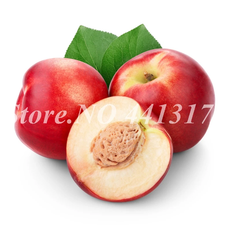 

5 Pcs / bag Sweet Peach China Nectarine Peach Outdoor Tree Dwarf Juicy Tasty Bonanza Peaches Bonsai Fruit For Home Garden Plants