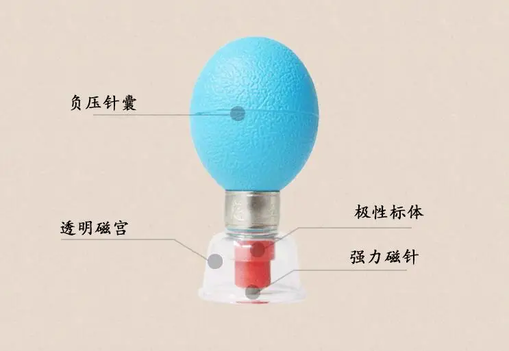 12pcs Cupping Cup Therapy Anti Negative Pressure Acupunture Cellulite Massage Lose Weight Body Magnetic Acupressure Suction 12pcs Cupping Cup Therapy Anti Negative Pressure Acupunture Cellulite Massage Lose Weight Body Magnetic Acupressure Suction