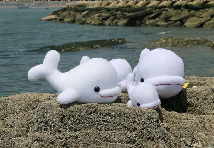 

Морское животное, большая голова, Белый кит, плюшевая игрушка, мягкая подушка, подарок на день рождения b4849