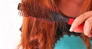 

Household Hair Comb For Female Hairdressing Professional Senior Curly Pear Flower Roll Straight Blowing Modelling A Cylinder