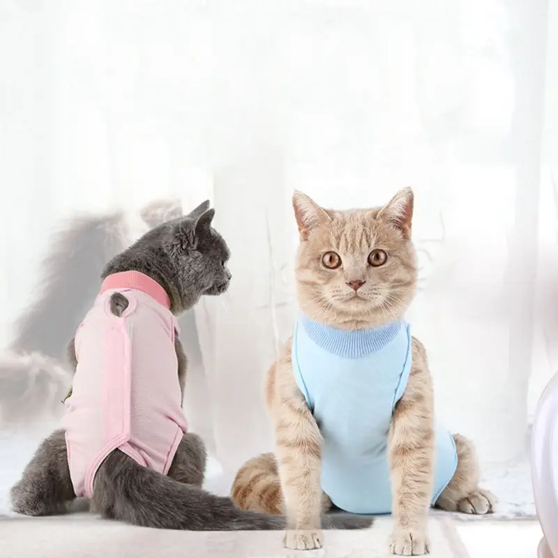 послеоперационная рубашка для кошки. бандаж для кошки. попона послеоперационная для кошек. помпон после стерилизации. бандаж для кошки.