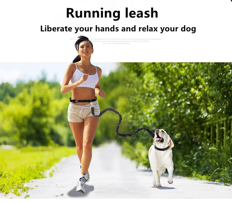 

2 in 1 Pet Dog Cat Running Jogging Adjustable Waist Belt Reflective Strip Elastic Leash Perfect Walking Training Dog Leash Set