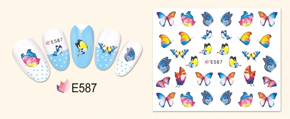 E587