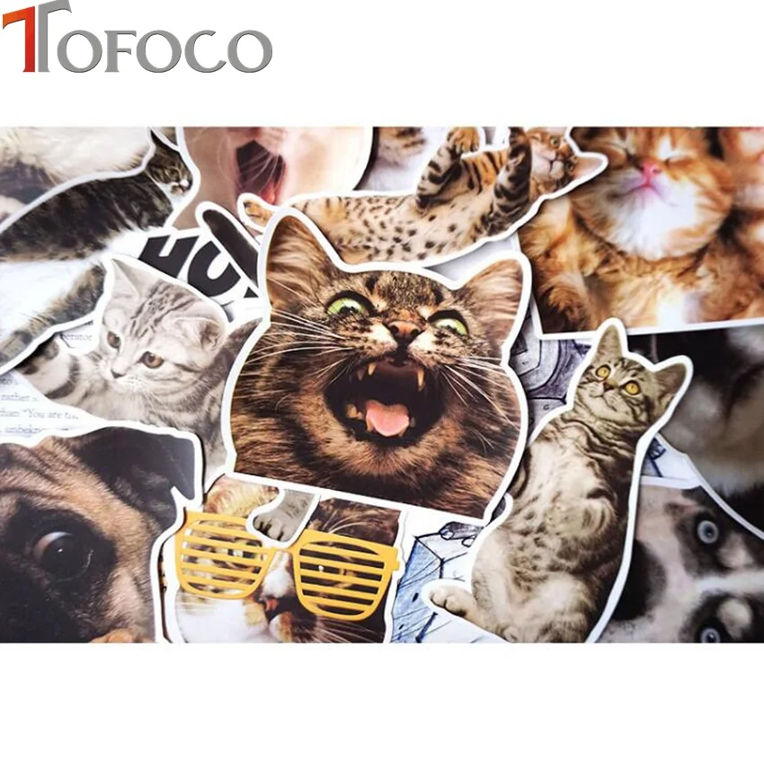 xq01185stickE5