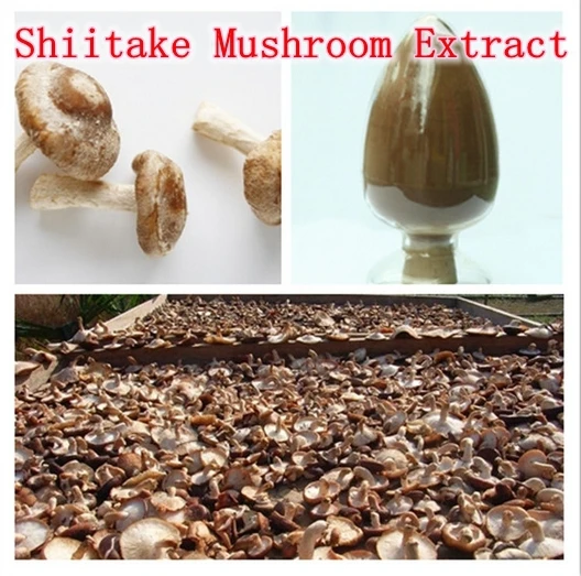 

500gram Highest Pure Shiitake Mushroom Extract Powder Lentinula Edodes 30% Beta-1,3/1,6 D Glucan powerful immune immprovement