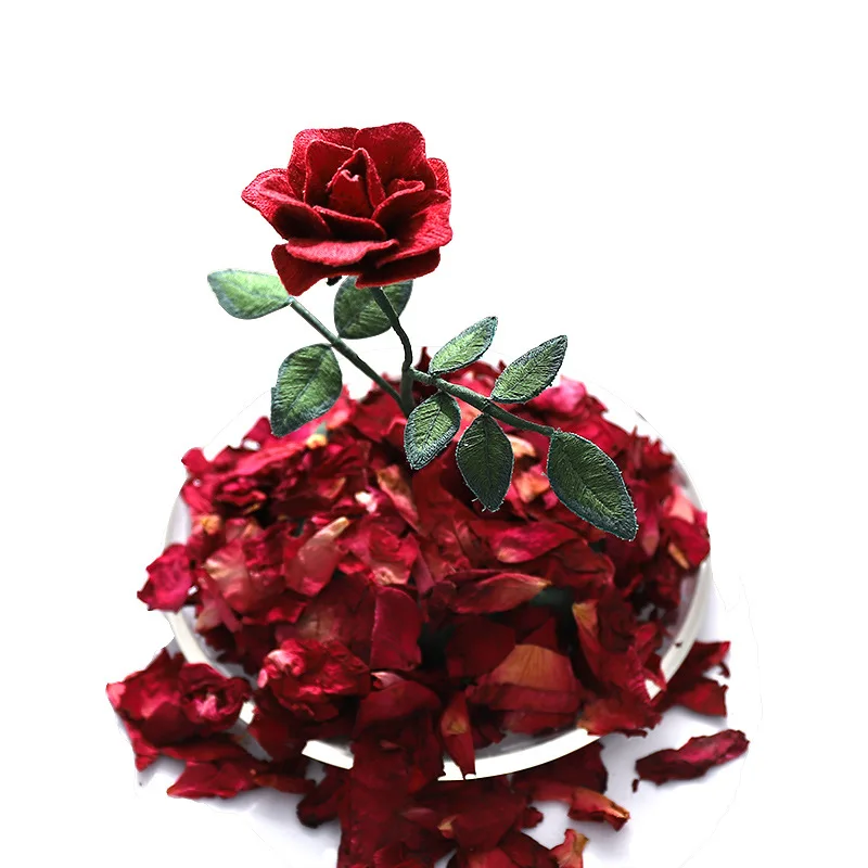 8835801947_1584925399