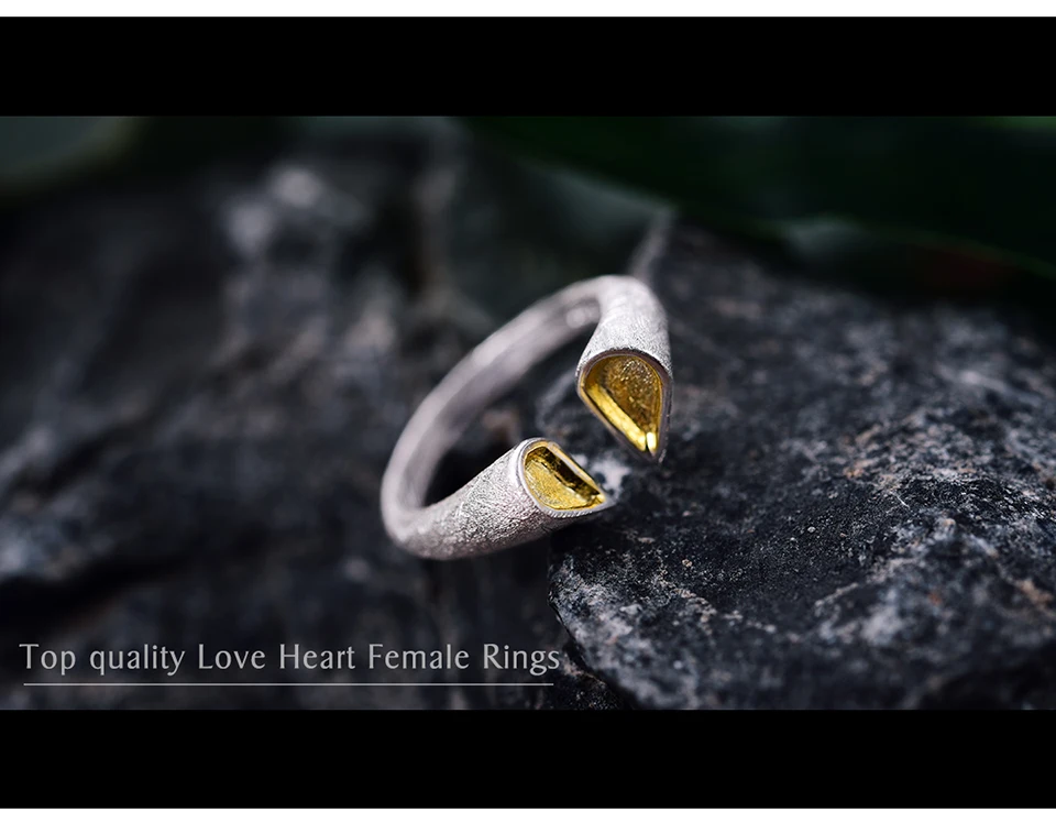 LFJD0035-Top-quality-Love-Heart-Female-Rings_02