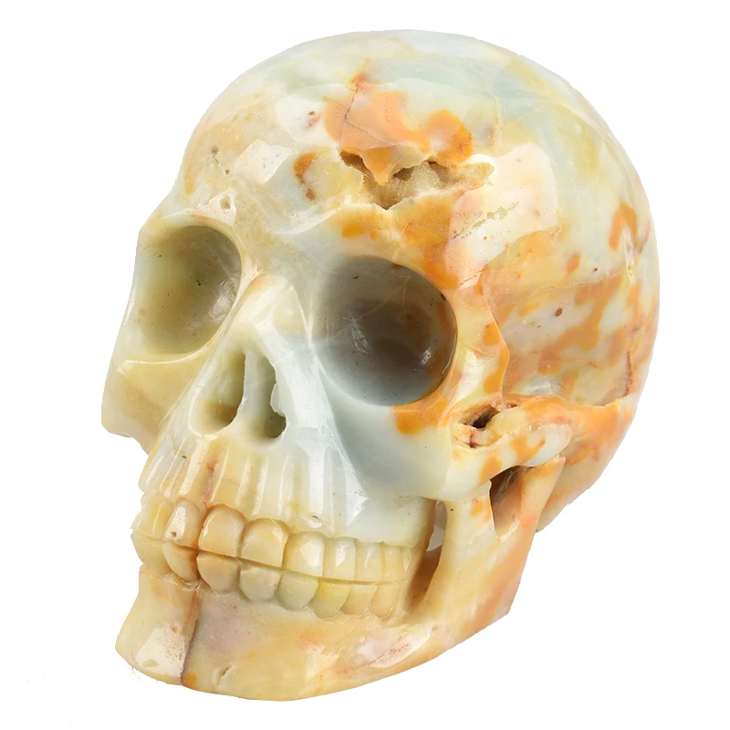 

6 '' Stone Skull Figurine Craft Sculpture Natural Amazon Stone Carved Realistic Human Crystal Healing Crystal Skull Home Decor