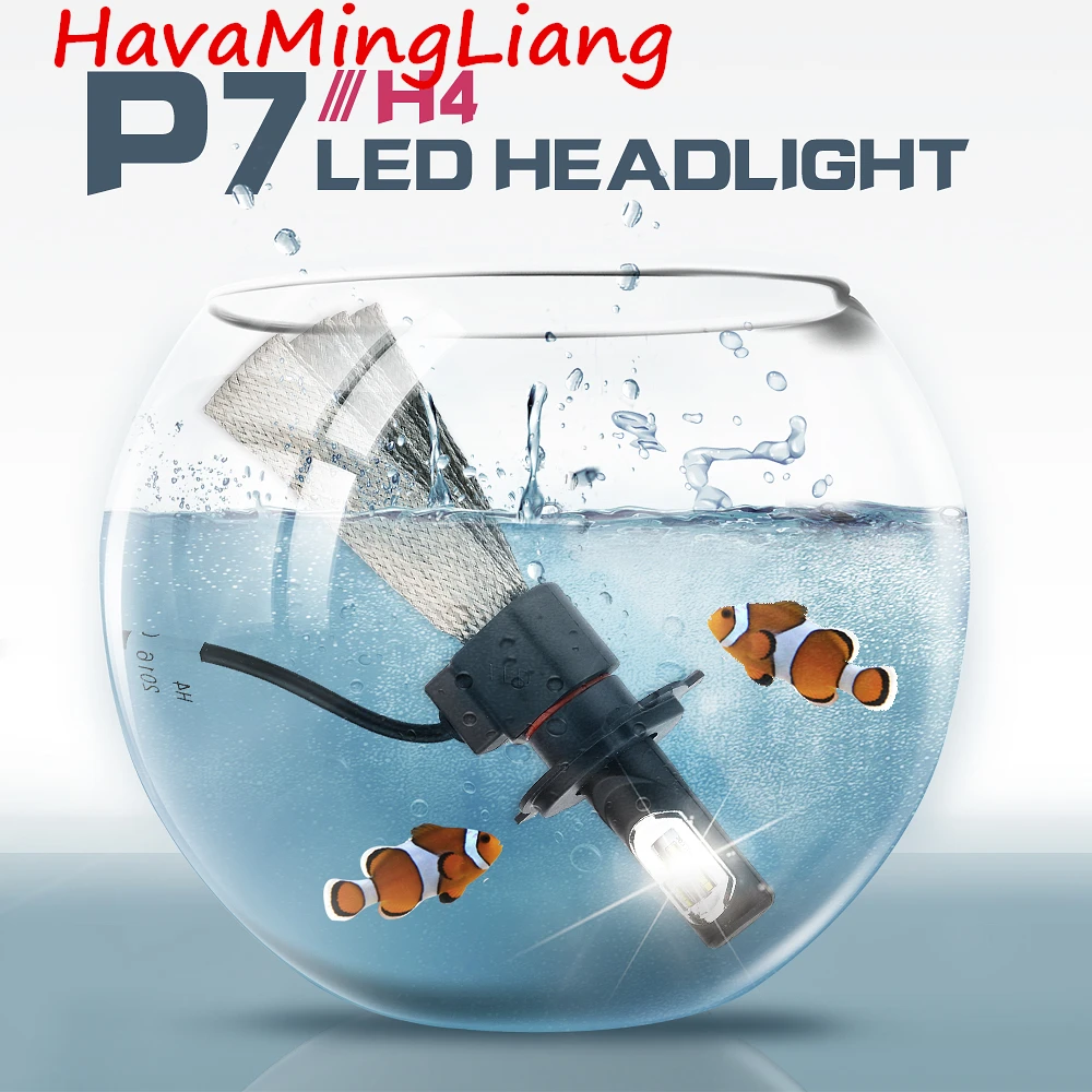H4-1