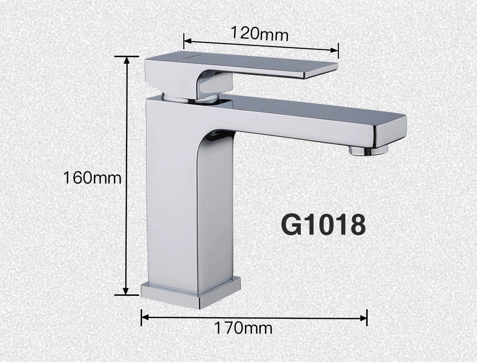 G1007-1_06