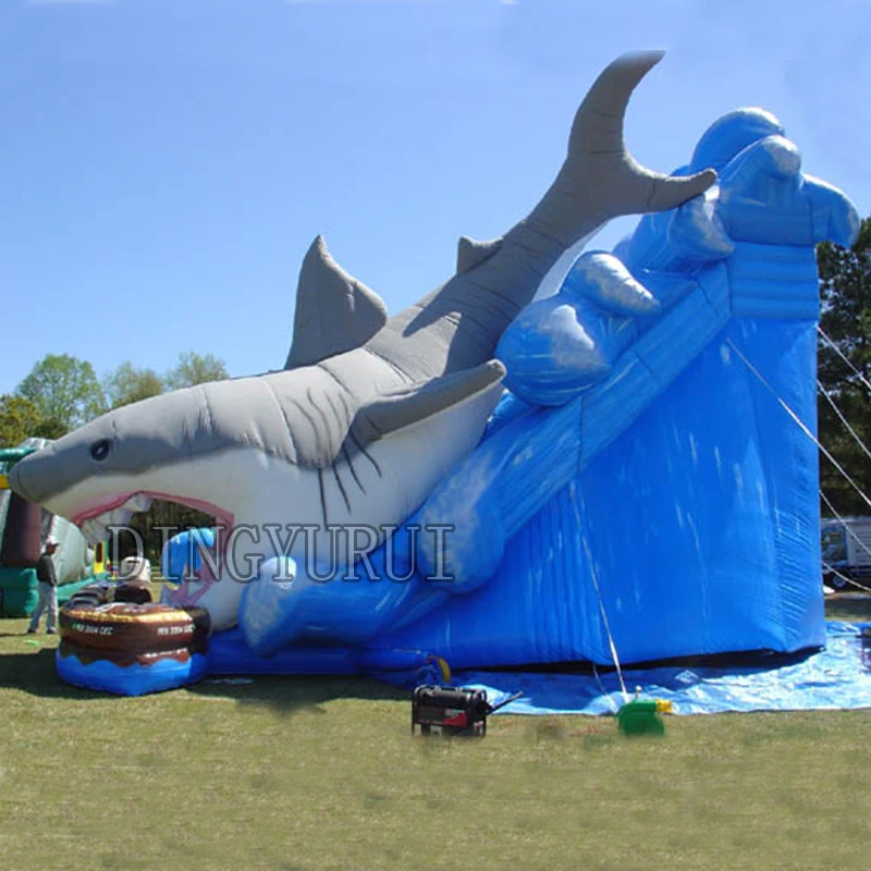 Shark Large 3_600