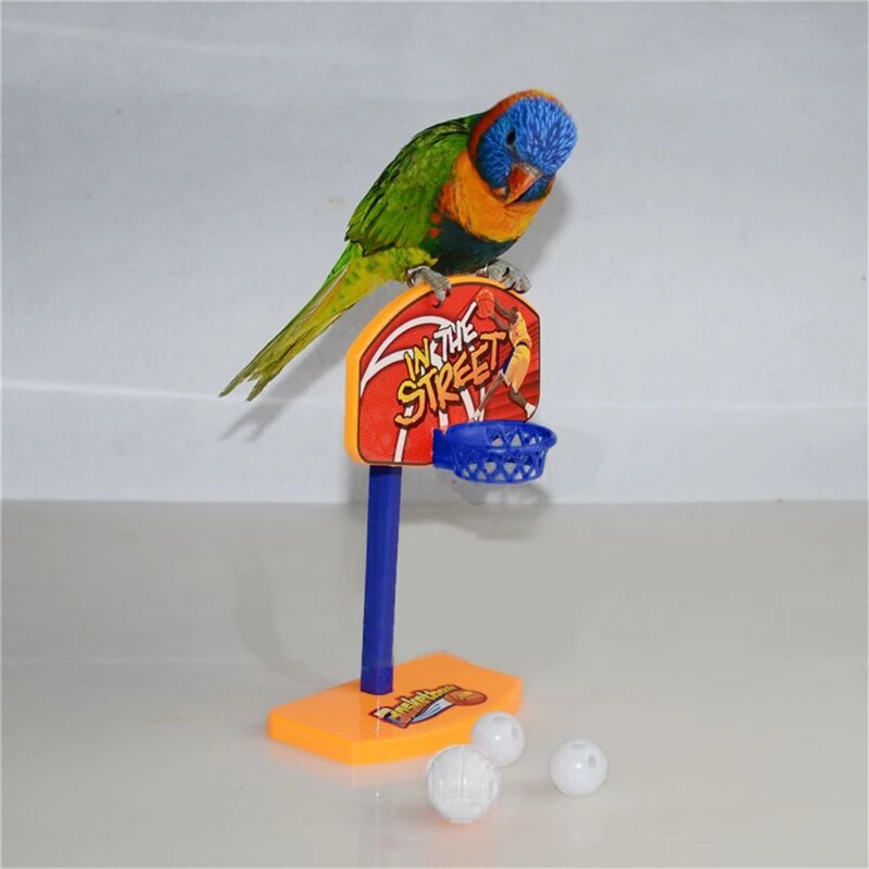big sale Pet Bird Toys Chew Parakeet Parrot Training Mini Basketball
