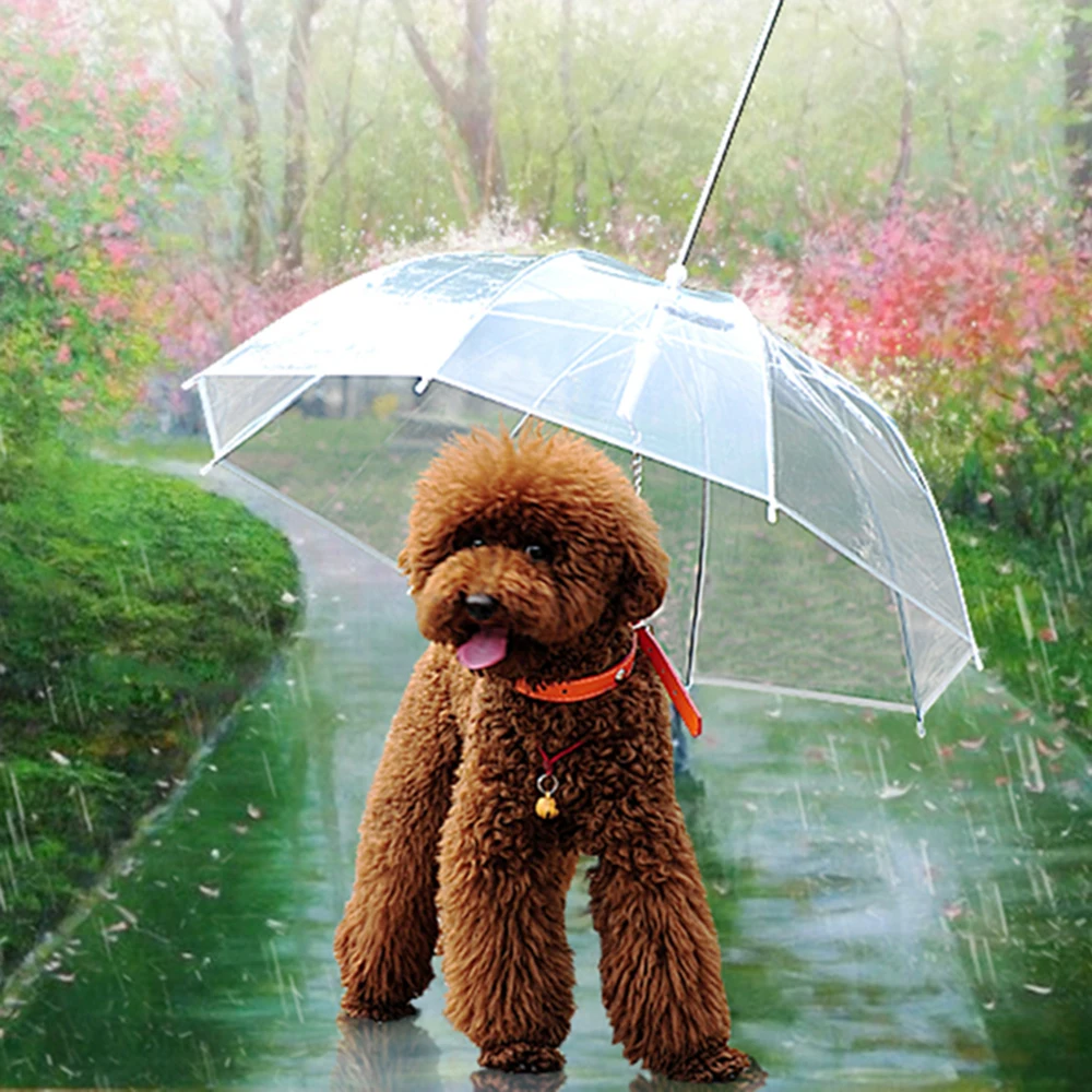 ღ Ƹ̵̡Ӝ̵̨̄Ʒ ღTransparent PE Pet Puppy Pet ᗛ Umbrella Umbrella Dog For ୧ʕ