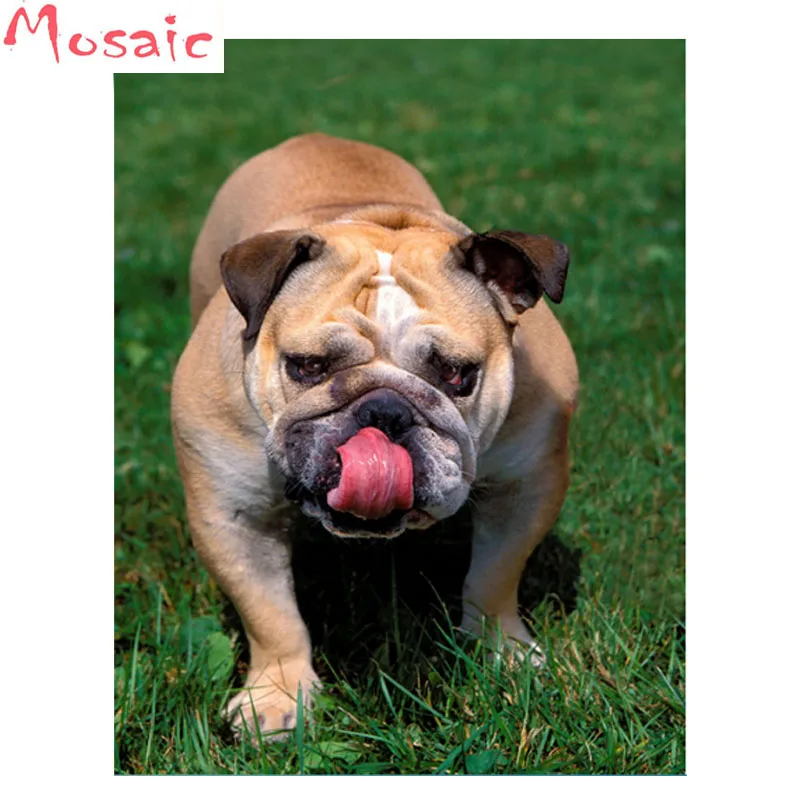 

5D DIY Diamond Painting animals pattern Diamond embroidery Cross Stitch English Bulldog picture Needlework Home Decoration